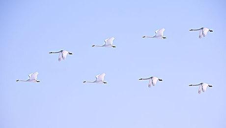 《活体脑细胞》开发商通过游戏更新来暗示新作情报